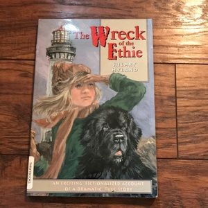 The Wreck of the Ethie by Hilary Hyland.